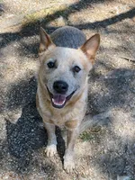 processed/7ddff457-020f-455f-8052-200cfa8c2a5d/facility/e511a67f-2655-49e5-8331-92e7943284fc