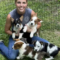 processed/7ddff457-020f-455f-8052-200cfa8c2a5d/facility/e61174d2-d422-4be9-968a-26ae08c288c2