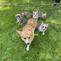 processed/7ddff457-020f-455f-8052-200cfa8c2a5d/facility/ee767e4a-dd01-4756-93d4-b7c49bcea0e0