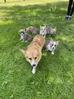 processed/7ddff457-020f-455f-8052-200cfa8c2a5d/facility/ee767e4a-dd01-4756-93d4-b7c49bcea0e0