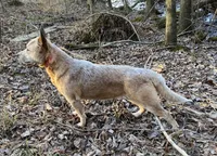 processed/7ddff457-020f-455f-8052-200cfa8c2a5d/listing/6d4b6931-670f-4807-bd41-38b160550eee/46a2a211-b200-4929-8b5f-fbeb1b0710ef