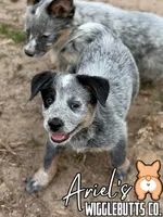 processed/7ddff457-020f-455f-8052-200cfa8c2a5d/listing/6d4b6931-670f-4807-bd41-38b160550eee/477f733a-18d3-475d-81f9-6cae4a4b9b6b