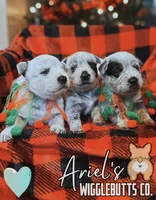 processed/7ddff457-020f-455f-8052-200cfa8c2a5d/listing/6d4b6931-670f-4807-bd41-38b160550eee/61ffbc2f-10dc-4e97-923b-3feac6fd8ff3