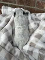 processed/7ddff457-020f-455f-8052-200cfa8c2a5d/listing/6d4b6931-670f-4807-bd41-38b160550eee/86375581-7b42-42b4-b161-b05ba8fa335b