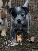 processed/7ddff457-020f-455f-8052-200cfa8c2a5d/listing/6d4b6931-670f-4807-bd41-38b160550eee/902505f2-f080-469c-ab97-79ea6c49d855