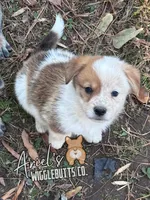 processed/7ddff457-020f-455f-8052-200cfa8c2a5d/listing/bd526526-76de-44fb-bc70-0f37f3102daa/0335e995-660f-4498-9d05-5b08fb38f5dc