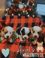 processed/7ddff457-020f-455f-8052-200cfa8c2a5d/listing/bd526526-76de-44fb-bc70-0f37f3102daa/7755a128-131e-4737-84f4-3029411a83f4