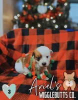 processed/7ddff457-020f-455f-8052-200cfa8c2a5d/listing/bd526526-76de-44fb-bc70-0f37f3102daa/f0f9dcb8-01f7-4dc1-9001-46a3cb181972