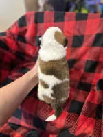 processed/7ddff457-020f-455f-8052-200cfa8c2a5d/listing/bd526526-76de-44fb-bc70-0f37f3102daa/f975ee4e-20e3-4604-be95-db7b543a6305