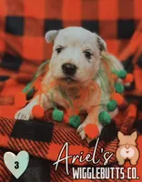 processed/7ddff457-020f-455f-8052-200cfa8c2a5d/listing/d485e4e8-e28c-4b7f-a866-c9dbd6e82f30/35d180ee-c11b-40d3-b9c1-77bf7d433c7e