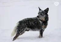 processed/7ddff457-020f-455f-8052-200cfa8c2a5d/listing/d485e4e8-e28c-4b7f-a866-c9dbd6e82f30/453d613d-b713-4495-9a46-37cc49c7878b