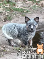 processed/7ddff457-020f-455f-8052-200cfa8c2a5d/listing/d485e4e8-e28c-4b7f-a866-c9dbd6e82f30/5abc26e1-c398-4579-8b47-8f9cec9e8093