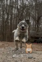 processed/7ddff457-020f-455f-8052-200cfa8c2a5d/listing/d485e4e8-e28c-4b7f-a866-c9dbd6e82f30/b4f31221-d61c-4913-8a79-aaf7331e2020