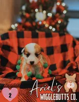 processed/7ddff457-020f-455f-8052-200cfa8c2a5d/listing/e363fe12-0632-4497-9206-6d0dfeb08902/2acf0422-2260-4778-89ce-bc7e7ce70ba4