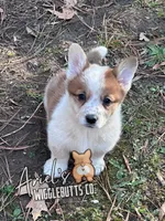 processed/7ddff457-020f-455f-8052-200cfa8c2a5d/listing/e363fe12-0632-4497-9206-6d0dfeb08902/422fbfd7-b9db-4e1d-9ebe-b939a10f1b73