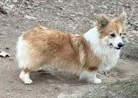 processed/7ddff457-020f-455f-8052-200cfa8c2a5d/listing/e363fe12-0632-4497-9206-6d0dfeb08902/77bf056e-d112-436a-a5e9-c322a08f1434