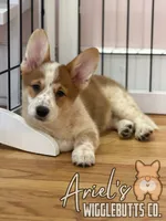 processed/7ddff457-020f-455f-8052-200cfa8c2a5d/listing/e363fe12-0632-4497-9206-6d0dfeb08902/ad7b6cce-3bcd-4750-8e05-c83166f0d660