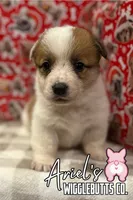 processed/7ddff457-020f-455f-8052-200cfa8c2a5d/listing/e363fe12-0632-4497-9206-6d0dfeb08902/f8caaba5-e520-4c3f-8cd4-5847568a126d