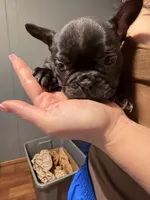 processed/7dea8a35-1871-496e-bf52-e31254ee3fcd/listing/1e60c6a3-c617-461d-b558-2f48e4b89bf5/f8696a93-e02a-4f83-ae87-0fab2f4fb60f