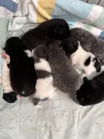 processed/7dee708c-c717-44d5-a06f-75b095d84f9d/facility/f4d4f701-82ff-415e-934b-c2dc6cb11826