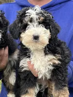 processed/7df12138-9db6-4cf4-a9ef-8a46a72fbb76/facility/31b11d03-ad5b-4b93-b2ad-5061930f65e4