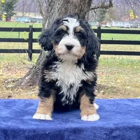 processed/7df12138-9db6-4cf4-a9ef-8a46a72fbb76/facility/da630c3a-8db4-456e-b87d-c9ee43df0d0b