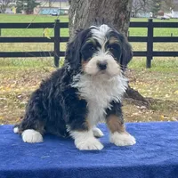 processed/7df12138-9db6-4cf4-a9ef-8a46a72fbb76/facility/ed7033a9-5d24-42f7-8b72-7fdbde0043e0