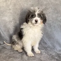 processed/7df12138-9db6-4cf4-a9ef-8a46a72fbb76/listing/35099317-7f38-4564-989b-cd14f138bb9c/0393aa27-9e56-4bf1-b2f6-be375d67308a