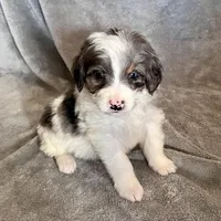 processed/7df12138-9db6-4cf4-a9ef-8a46a72fbb76/listing/35099317-7f38-4564-989b-cd14f138bb9c/20ba025b-48ab-4795-9ccf-65a36841298c