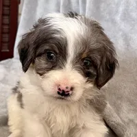 processed/7df12138-9db6-4cf4-a9ef-8a46a72fbb76/listing/35099317-7f38-4564-989b-cd14f138bb9c/21a7c78f-faed-403a-b03e-1d9caf0bd125