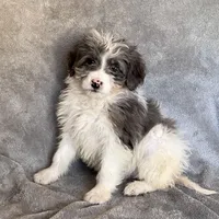 processed/7df12138-9db6-4cf4-a9ef-8a46a72fbb76/listing/35099317-7f38-4564-989b-cd14f138bb9c/36393706-4897-4da2-a4bd-04805e7101b3