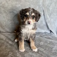 processed/7df12138-9db6-4cf4-a9ef-8a46a72fbb76/listing/5bbe2aa2-af0c-4482-8f48-2cca369767a4/21209b05-7d4d-41bc-867f-d2f8b8cc52da