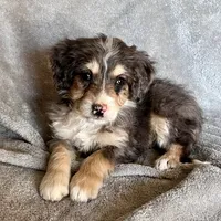 processed/7df12138-9db6-4cf4-a9ef-8a46a72fbb76/listing/5bbe2aa2-af0c-4482-8f48-2cca369767a4/76352d3c-4207-4adf-a611-f48a206ee54c