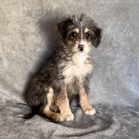 processed/7df12138-9db6-4cf4-a9ef-8a46a72fbb76/listing/5bbe2aa2-af0c-4482-8f48-2cca369767a4/a413be54-8df2-4fb2-885c-28ed6044ae63