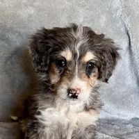 processed/7df12138-9db6-4cf4-a9ef-8a46a72fbb76/listing/5bbe2aa2-af0c-4482-8f48-2cca369767a4/bc533f09-76e3-42d1-8290-557a8535c854