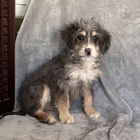 processed/7df12138-9db6-4cf4-a9ef-8a46a72fbb76/listing/5bbe2aa2-af0c-4482-8f48-2cca369767a4/f08064ce-0b10-4d74-806f-da57894f587c