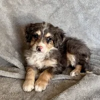 processed/7df12138-9db6-4cf4-a9ef-8a46a72fbb76/listing/5bbe2aa2-af0c-4482-8f48-2cca369767a4/f24b22f1-5529-48f1-b050-701ddeb414b3