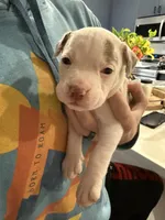 processed/7df3b5a5-569f-4956-bfc9-1c434c3c6ea8/listing/04cf3f98-18f3-4767-a054-4bbbde6069f8/2baae6cf-06a9-4bbb-a04c-145f711f55d7