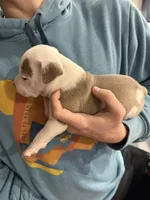 processed/7df3b5a5-569f-4956-bfc9-1c434c3c6ea8/listing/04cf3f98-18f3-4767-a054-4bbbde6069f8/ca1ab5f3-17e6-49ec-aee6-758768a41131