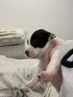 processed/7df3b5a5-569f-4956-bfc9-1c434c3c6ea8/listing/21542a82-e197-4359-9b19-163a4973a470/e77edd60-fc8e-4867-a63c-17179147c90d