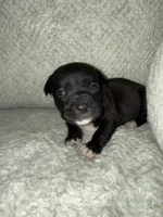 processed/7df3b5a5-569f-4956-bfc9-1c434c3c6ea8/listing/32b094be-3e39-423c-b2ea-55f179d014a4/80d35cb6-847b-4e0a-9f5b-fc2187bab781