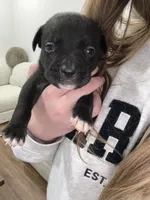 processed/7df3b5a5-569f-4956-bfc9-1c434c3c6ea8/listing/32b094be-3e39-423c-b2ea-55f179d014a4/8829306e-8418-45de-a423-dd50eca6187e