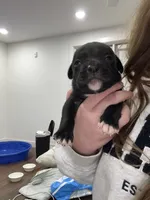 processed/7df3b5a5-569f-4956-bfc9-1c434c3c6ea8/listing/32b094be-3e39-423c-b2ea-55f179d014a4/c5a40857-d2b6-4d04-ad14-3f0b8c9ebba6