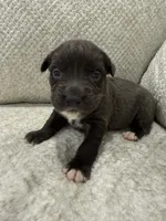 processed/7df3b5a5-569f-4956-bfc9-1c434c3c6ea8/listing/7557cb2d-53db-41e1-ae80-4fe2e3aa474d/cbd912e2-1e2f-4187-951e-4d3d94bb3d31