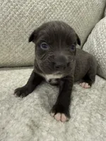 processed/7df3b5a5-569f-4956-bfc9-1c434c3c6ea8/listing/7557cb2d-53db-41e1-ae80-4fe2e3aa474d/ebcff012-4584-4ad0-a858-d34de797dc18