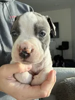 processed/7df3b5a5-569f-4956-bfc9-1c434c3c6ea8/listing/b276c406-7adf-4662-8354-eebaaba5820e/22efd3f1-fa46-4592-a391-28ad55b2184d