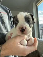 processed/7df3b5a5-569f-4956-bfc9-1c434c3c6ea8/listing/b276c406-7adf-4662-8354-eebaaba5820e/815ca504-1180-4eb9-934a-b7c2becc2104