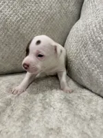 processed/7df3b5a5-569f-4956-bfc9-1c434c3c6ea8/listing/bfa594de-3b90-4cc4-9fb2-570733ae4a38/9bf9a821-24ee-4d28-901f-1ae70fe8db3c