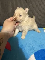 processed/7dfd4f44-f748-4ca1-aa9b-d76b209597d6/listing/968193bf-5537-4430-aed3-082e3e53022c/65ee652f-5c7d-411f-9bd1-404a2abba975