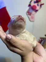 processed/7dfd4f44-f748-4ca1-aa9b-d76b209597d6/listing/968193bf-5537-4430-aed3-082e3e53022c/f09c8293-9bf8-4566-ba3f-79aaa90b859f